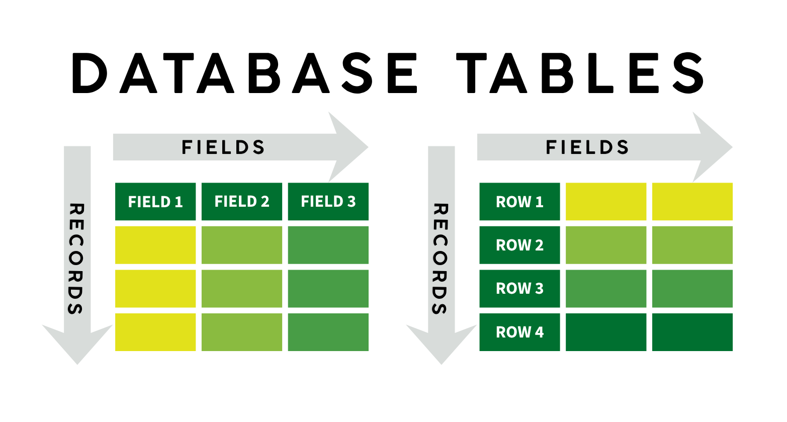 Information In Tables Introduction – UO Data Services: Introduction to SQL
