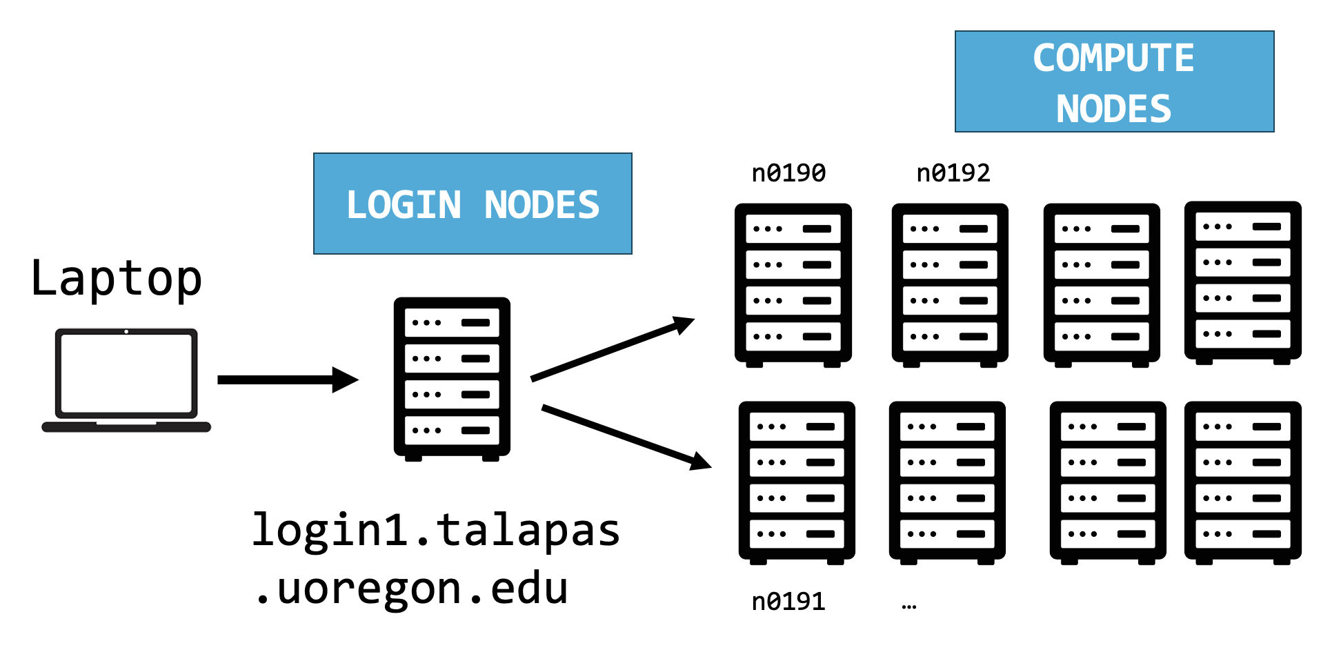 talapas-structure